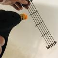 Img 5821
