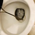 Img 5859